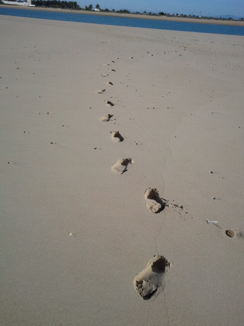 enREDada en un nuevo proyecto de aprendizaje&nbsp;colaborativo