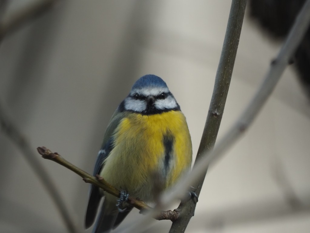 La naturaleza enamora mi cámara